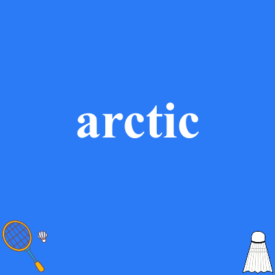arctic