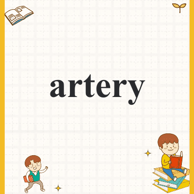 artery