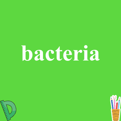 bacteria