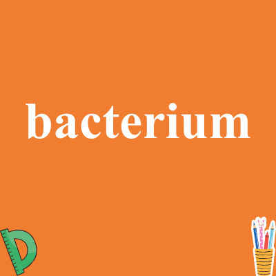 bacterium