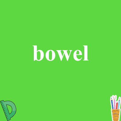 bowel