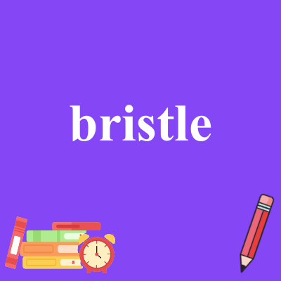 bristle