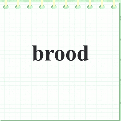 brood