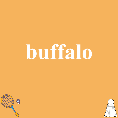 buffalo