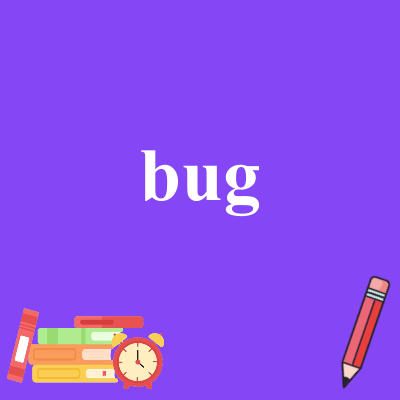 bug