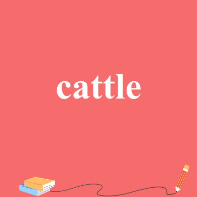 cattle