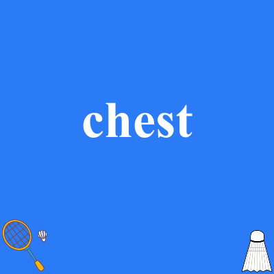 chest