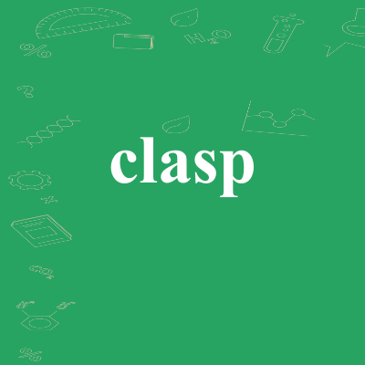 clasp