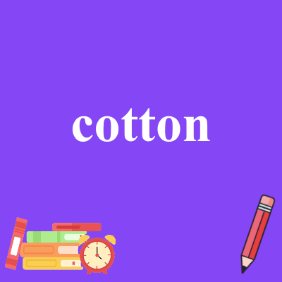cotton
