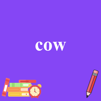 cow