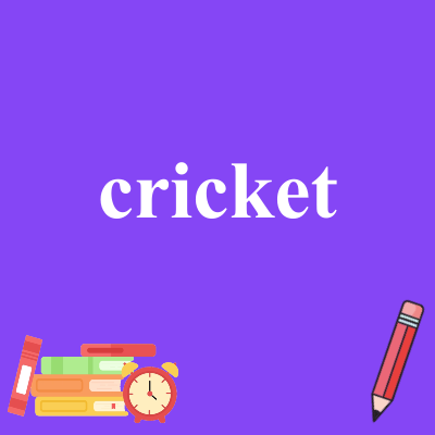 cricket
