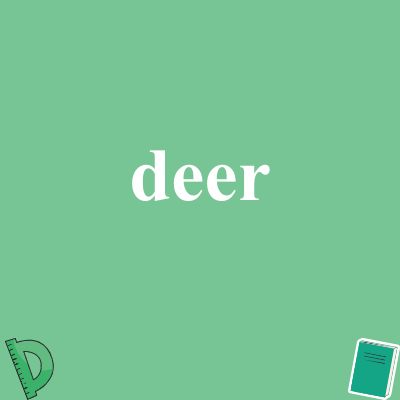 deer