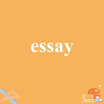 essay
