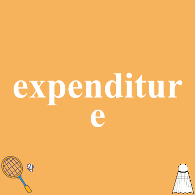 expenditure