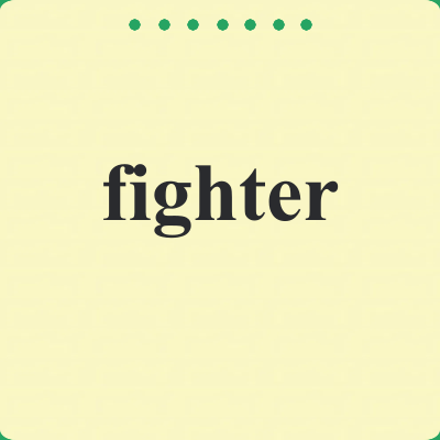 fighter