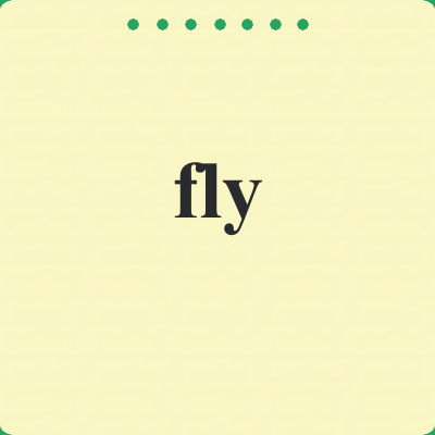 fly