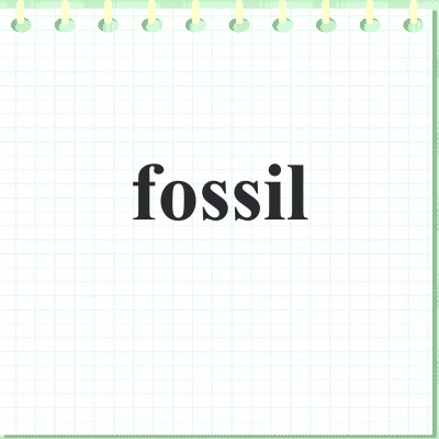 fossil