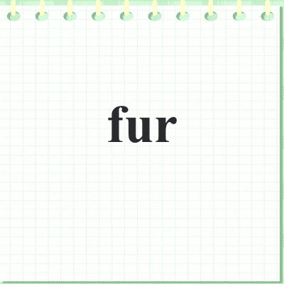 fur