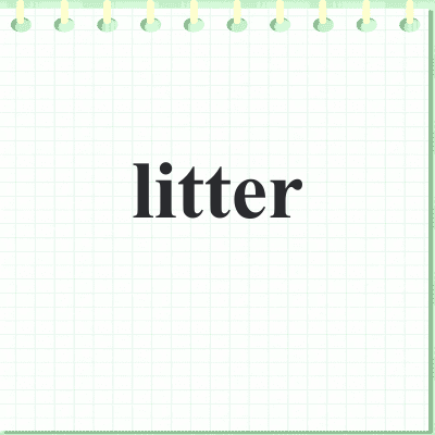 litter