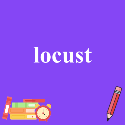 locust