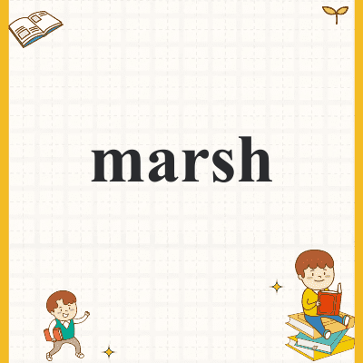 marsh