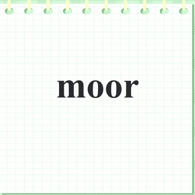 moor