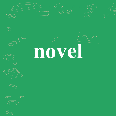 novel