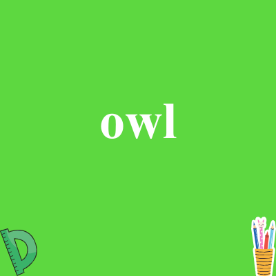 owl