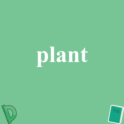 plant
