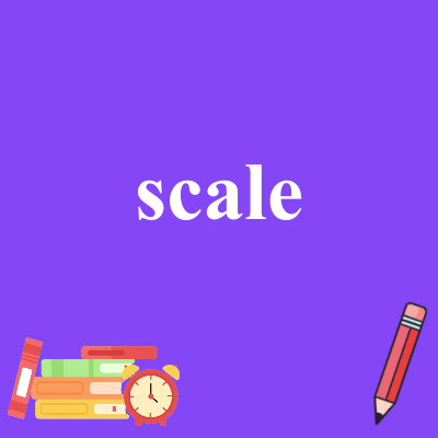 scale