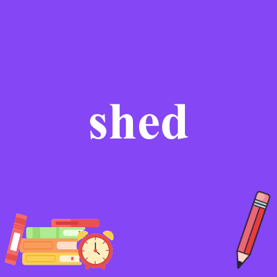 shed