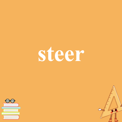 steer