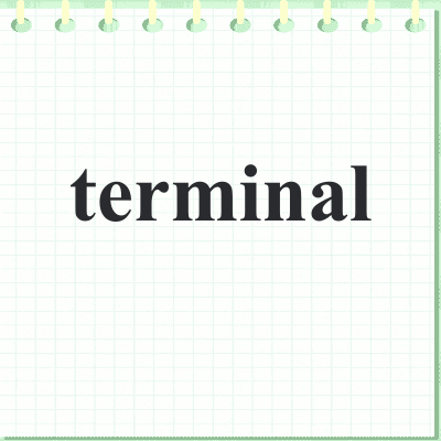 terminal
